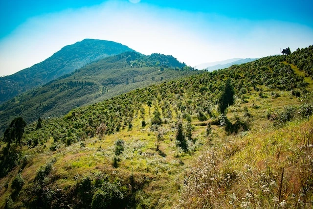 07 Nights & 08 Days North Sikkim, Gangtok, Pelling & Darjeeling Tour Package