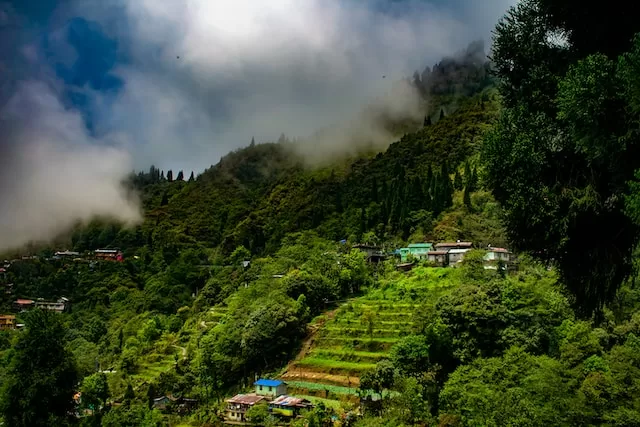 07 Nights & 08 Days Gangtok, Pelling & Darjeeling Tour Package (Urban Special)